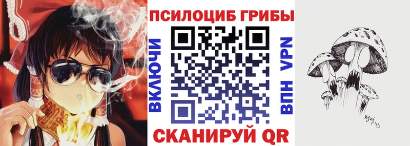 гидра ссылка  Озёры  Псилоцибиновые грибы Cubensis 